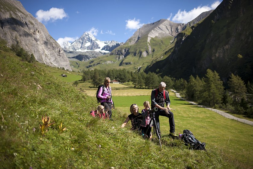 Wildtierbeobachtung, Kals am Großglockner | © TVB Osttirol / Nationalpark Hohe Tauern/Lugger Martin